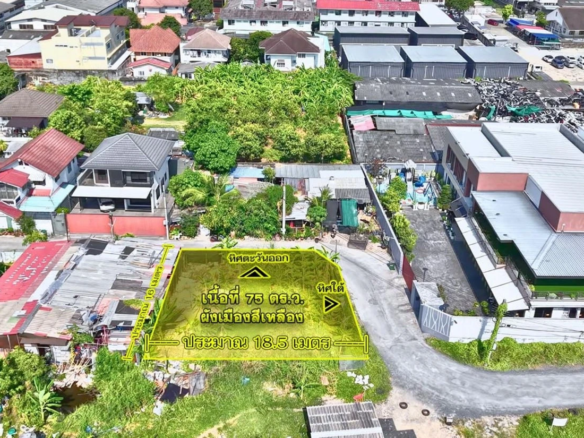 ขายที่ดินศรีนครินทร์ 24