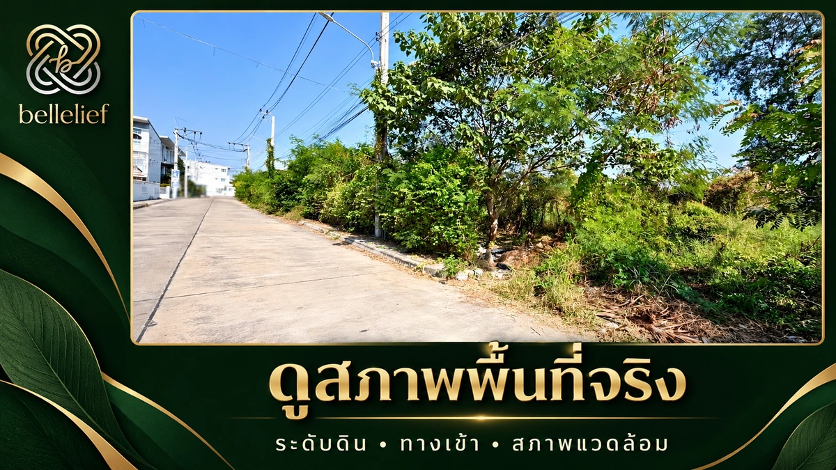 เส้นทางบริเวณที่ดินซอยวัดสลักเหนือ 4 พร้อมพืชพรรณด้านข้าง